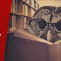 Can an average student get an MBA?